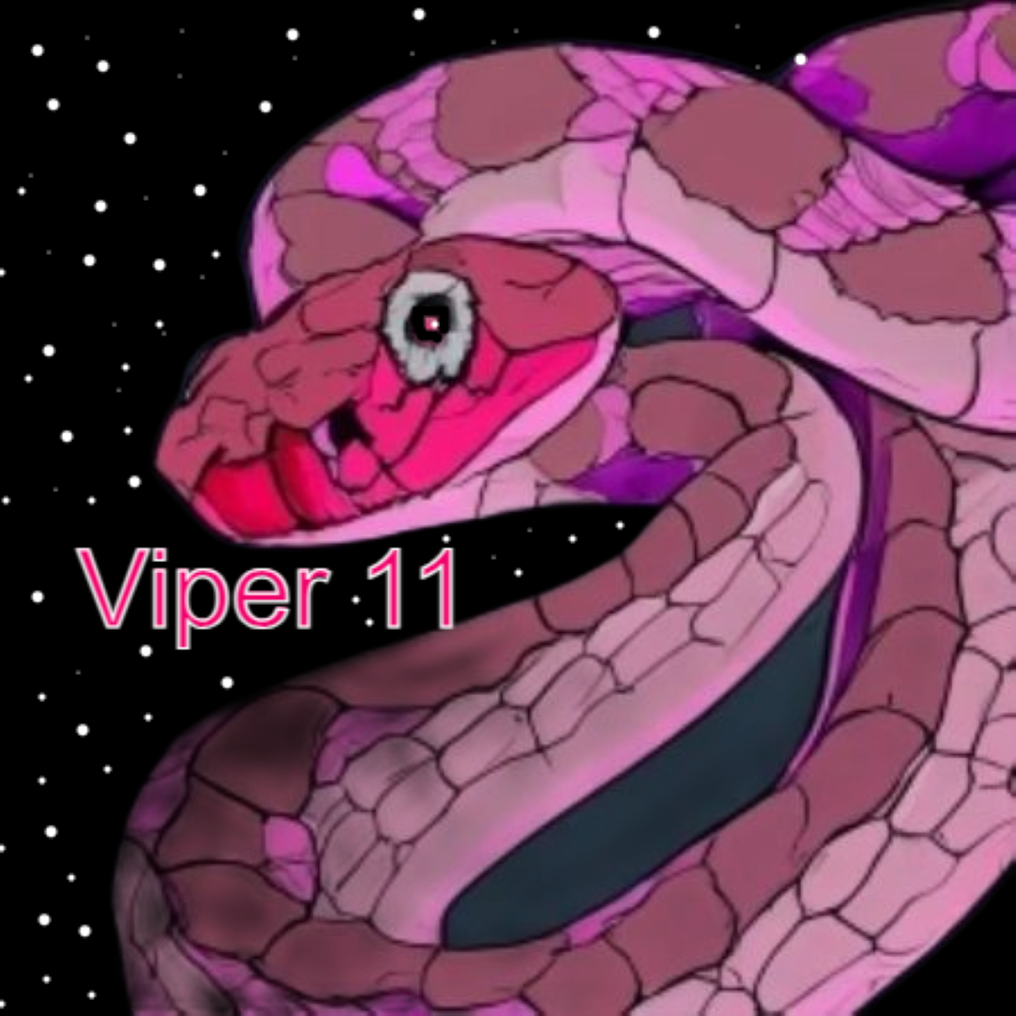 Viper_11_2023